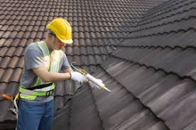 Best Roof Insulation Installation  in USA